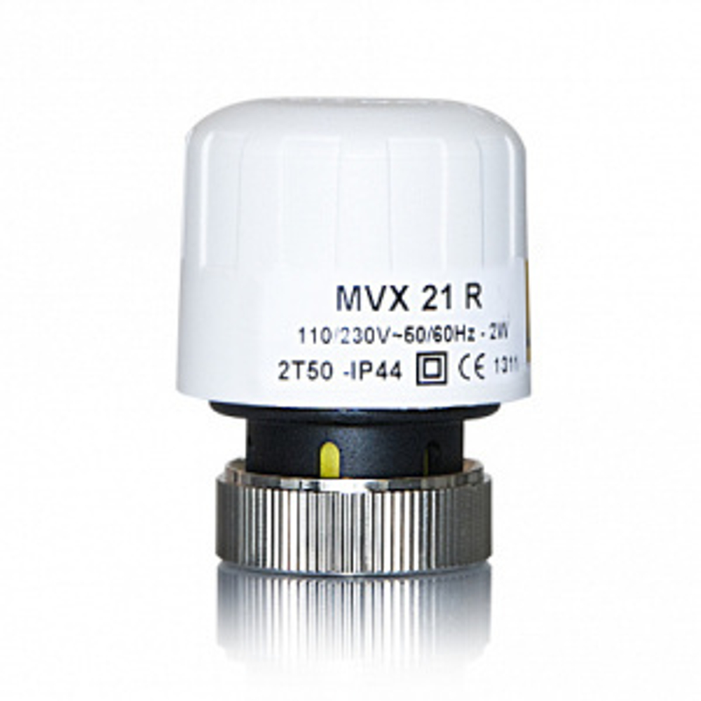 9yzasm6qv5beltywn0bs6nm6tf3sqaxx_325834550.jpg