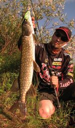 Приманка мягкая LJ Pro Series Frog 2.0" (цвет 005)