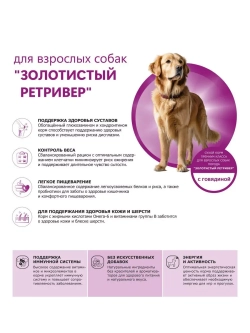 Сухой корм для собак Золотистый ретривер, говядина, 12кг