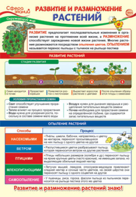 Плакат 23*42см "Окружающий мир в начальной школе. Развитие и размножение растений"