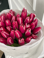 Букет из 35-ти малиново-белых тюльпанов - нет в наличии