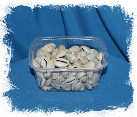 Каури Ципреи Аннулус, 2,3-2,6см, 100гр, 30шт