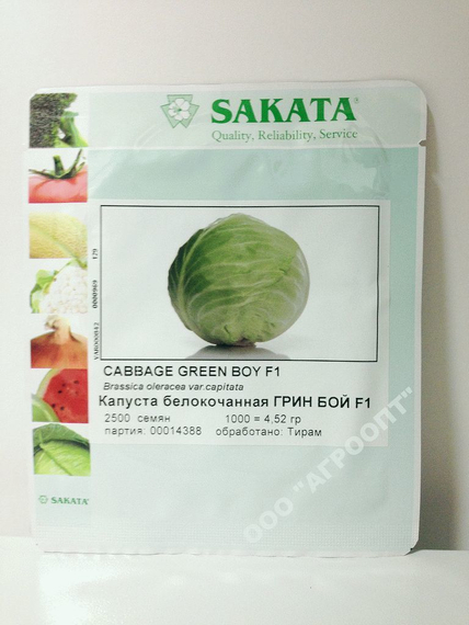 Грин Бой F1 семена капусты белокочанной (Sakata / Саката) – фото 2