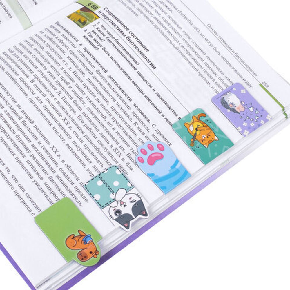 Закладки для книг МАГНИТНЫЕ, "ЯРКИЙ МИКС", комплект 30 штук, 35x25 мм, FUNSTER (ФАНСТЕР), 116657