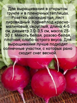 Семена Редис "Меркадо" 10 гр