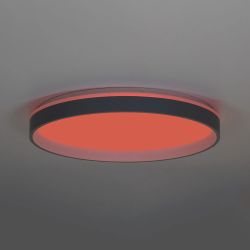 Citilux ENZO CL753513G LED RGB Светильник с пультом Серый + Белый