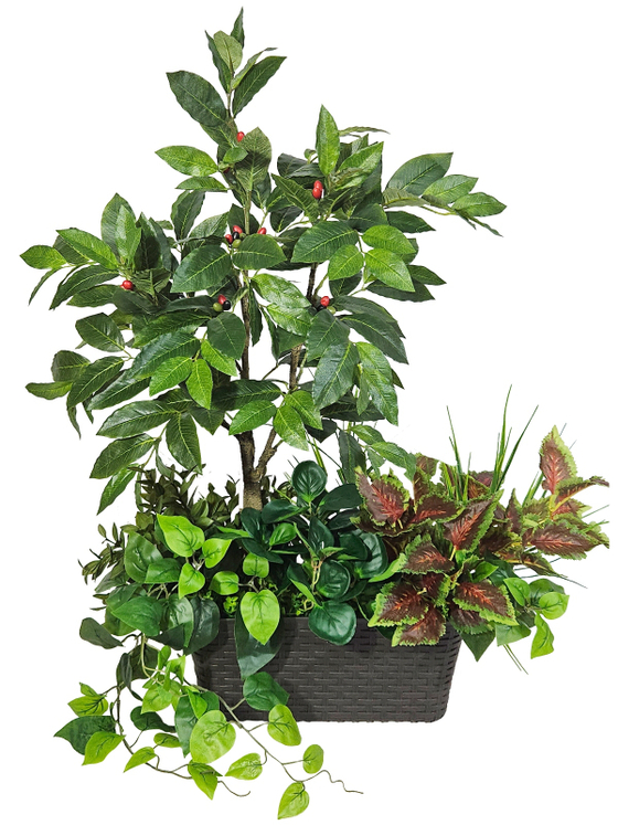 Искусственное растение Кофе с колеусом 75см в длинном кашпо