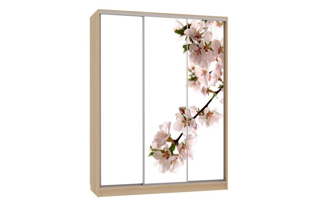 Шкаф-купе "Бассо-7 600 яблоня" (дуб сонома), ЛДСП 16 мм, Мебельсон