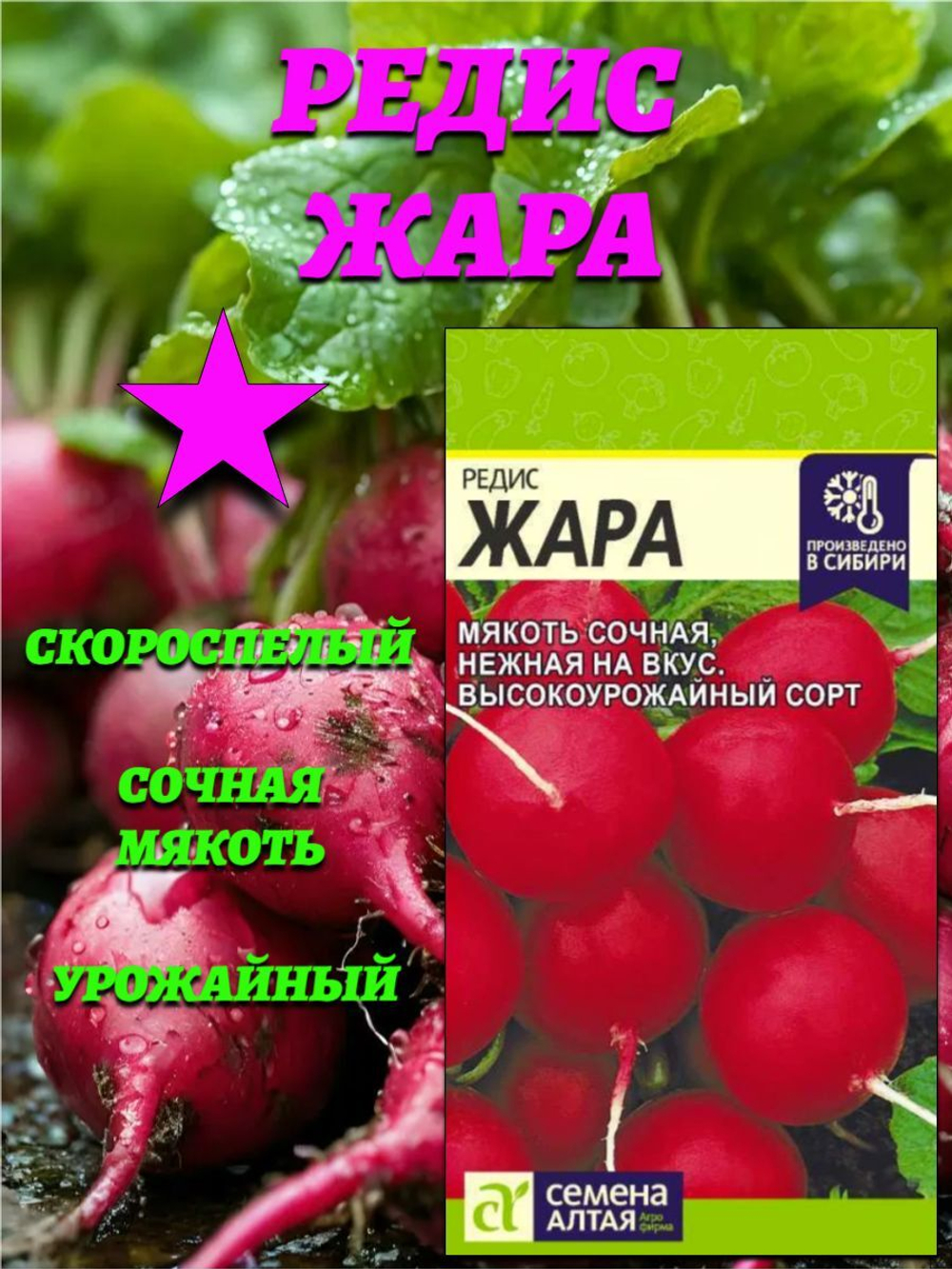 Редис Жара (2 гр). Семена Алтая