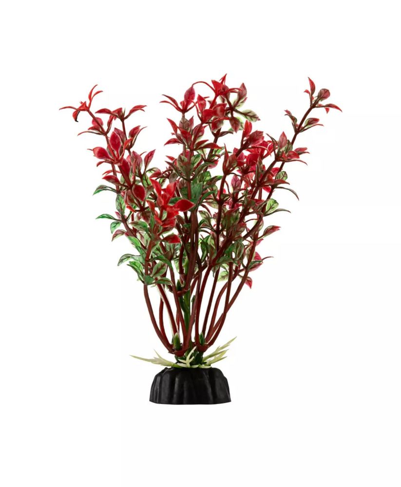 Растение красное без цветов 4*10см