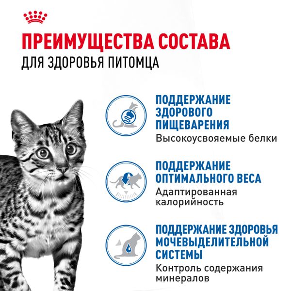 Пауч Royal Canin Indoor Sterilised для взрослых кастрированных и стерилизованных кошек, живущих в помещении, кусочки в желе