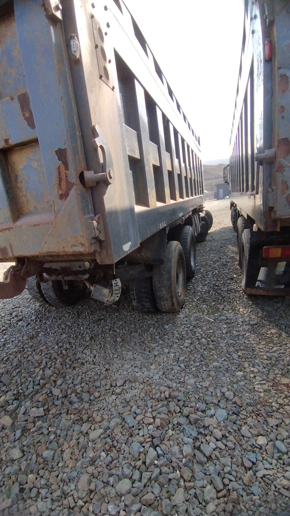 Shacman (Shaanxi) SX* 8x4 Самосвал SX33186T366 (Дизельный, 11,6 л, 369 л.с., МТ)