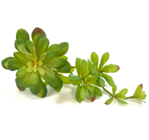 Суккулент зеленый ветка 6 шт.