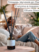 Диффузор для дома