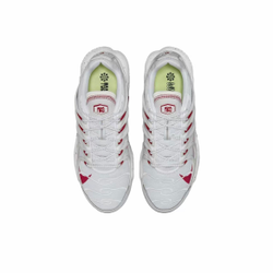 Nike Air Max Terrascape Plus Platinum Gym Red