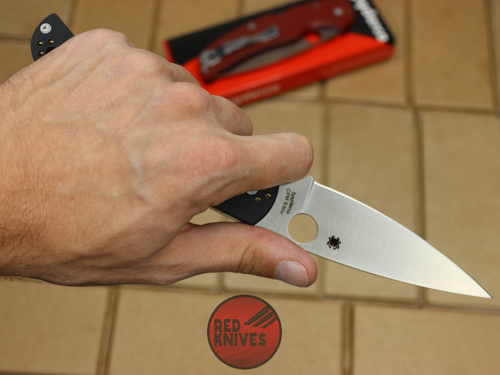 Нож Spyderco Native Chief - черный C244GP