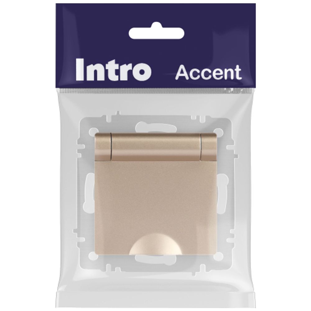 Розетка Intro Accent 6-203-04 2P+E Schuko с крышкой 16А-250В IP20 СУ AL/CU шампань