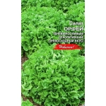 Семена Салат Орфей (УД) Е/П