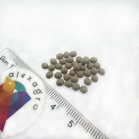 ЛЕОНАРДО F1 семена цикория (Bejo | Alexagro) – фото 7