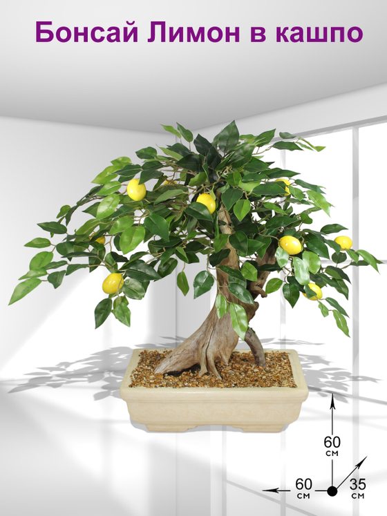 Бонсай Лимон 60см в кашпо