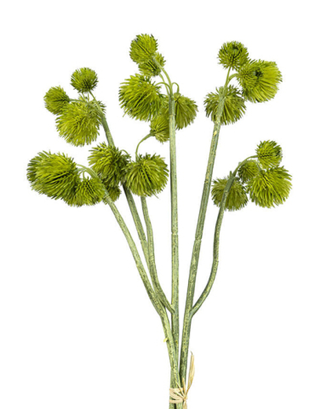 Гомфрена (пучок из 3шт) - Зеленый