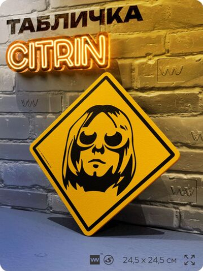 Табличка декоративная "Курт Кобейн, Kurt Cobain, Nirvana" на дверь и стену, прикольная штука в подарок, декоративный знак, 24,5х24,5 см, пластиковая, Айдентика Технолоджи