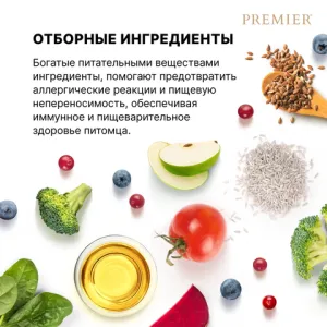 Сухой корм Premier для кошек крупных пород, ягнёнок с индейкой