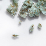 Мыло с морскими водорослями PHYTOMER Seaweed soap