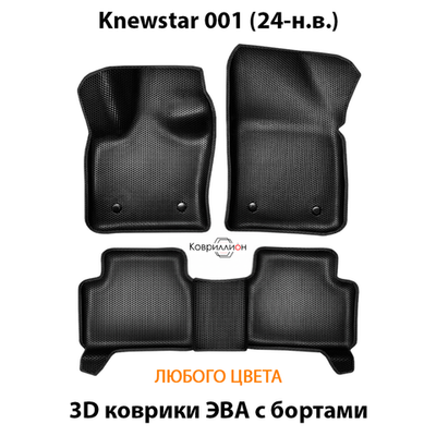 Автомобильные коврики ЭВА с бортами для Knewstar 001 (24-н.в.)