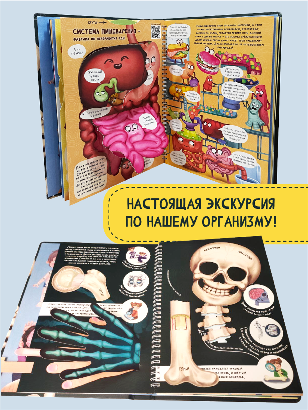 Интерактивная энциклопедия. Знакомься: твое тело
