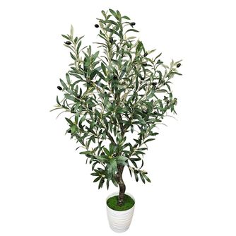 Оливы и кофе