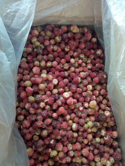 Земляника садовая замороженная Россия / Коробка 10 кг