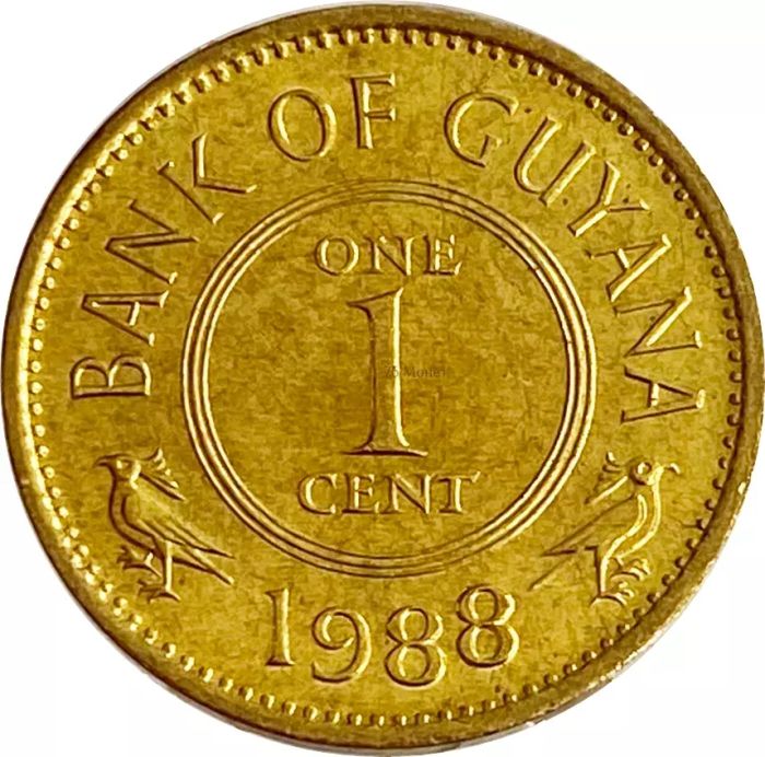 1 цент 1988 Гайана 