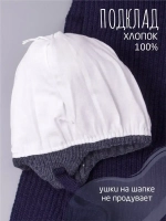 Шапка детская осенняя и шарф с ушками