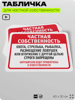 Табличка для частной территории "Частная собственность", на дом, для участка, организаций, предупреждающая, 40х30 см, Silver Plane x Айдентика Технолоджи