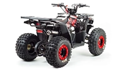 Квадроцикл PROMAX WILD 175