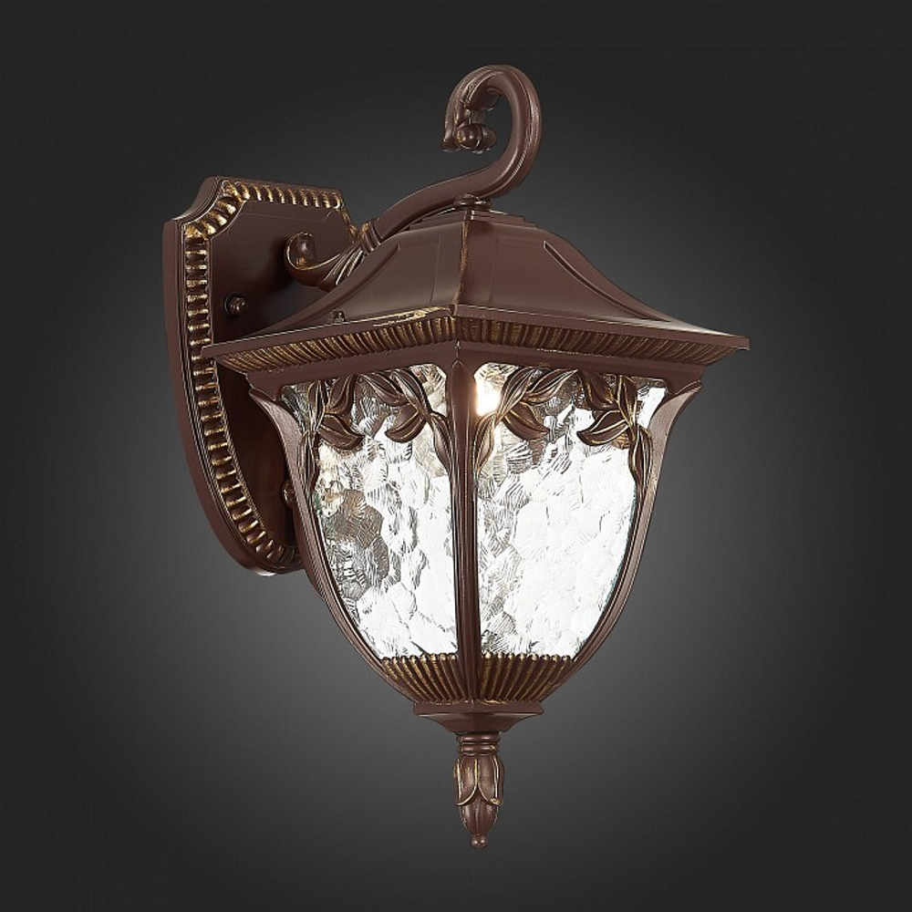 Уличный настенный светильник ST-Luce SL083.701.01