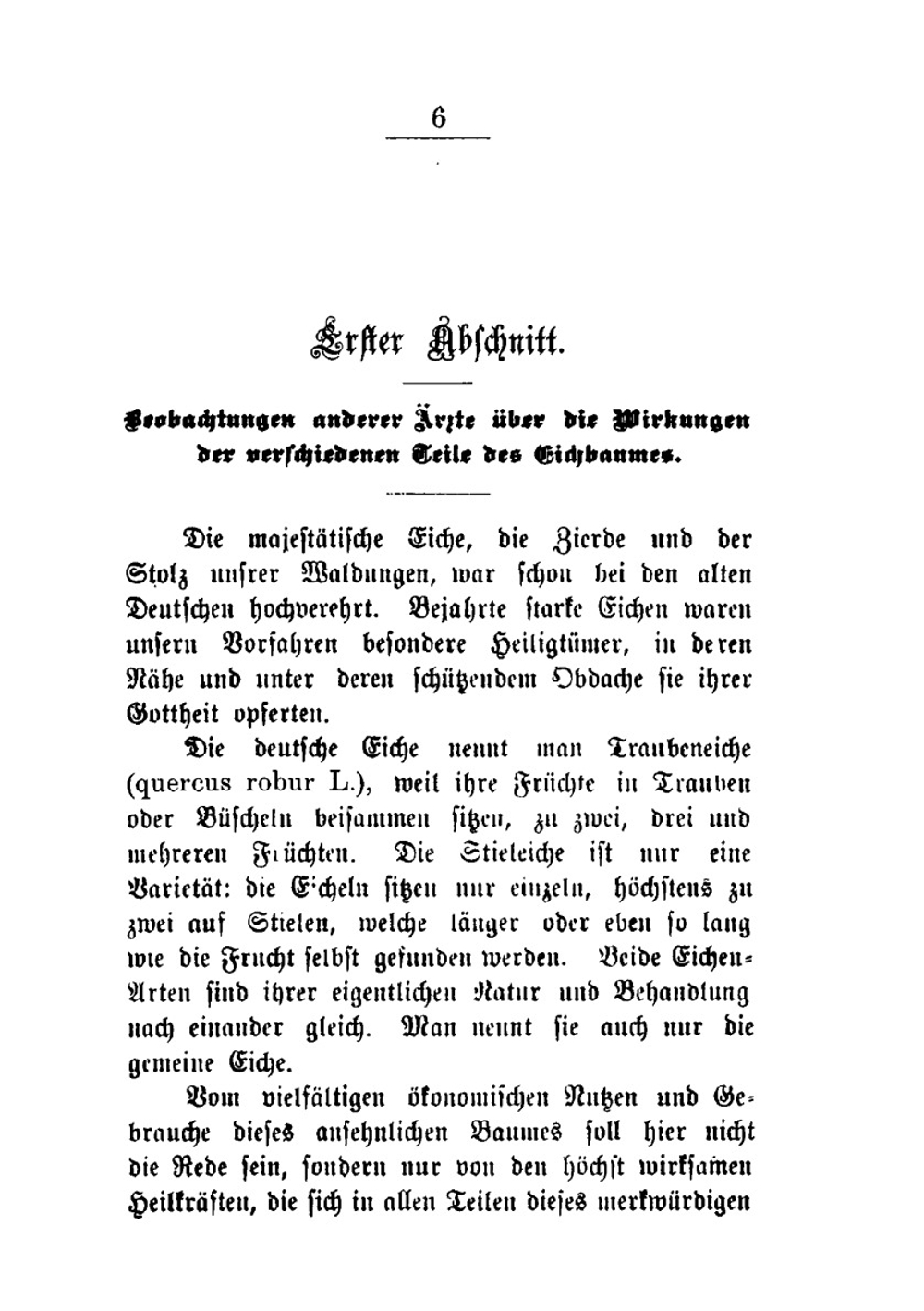 Der Deutsche Eichbaum Und Seine Heilkraft | K.A. Zwierlein
