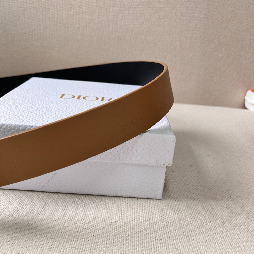 Christian Dior Belt