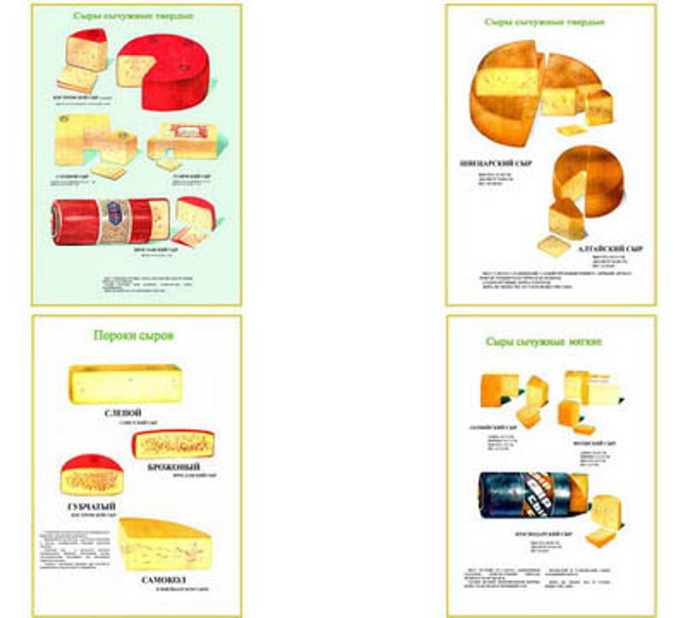 Плакаты ПРОФТЕХ &quot;Ассортимент сыров&quot; (9 пл, винил, 70х100)