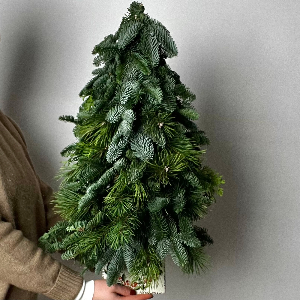 Ёлка Сибирская красавица