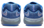 Кроссовки Nike Sb Ishod