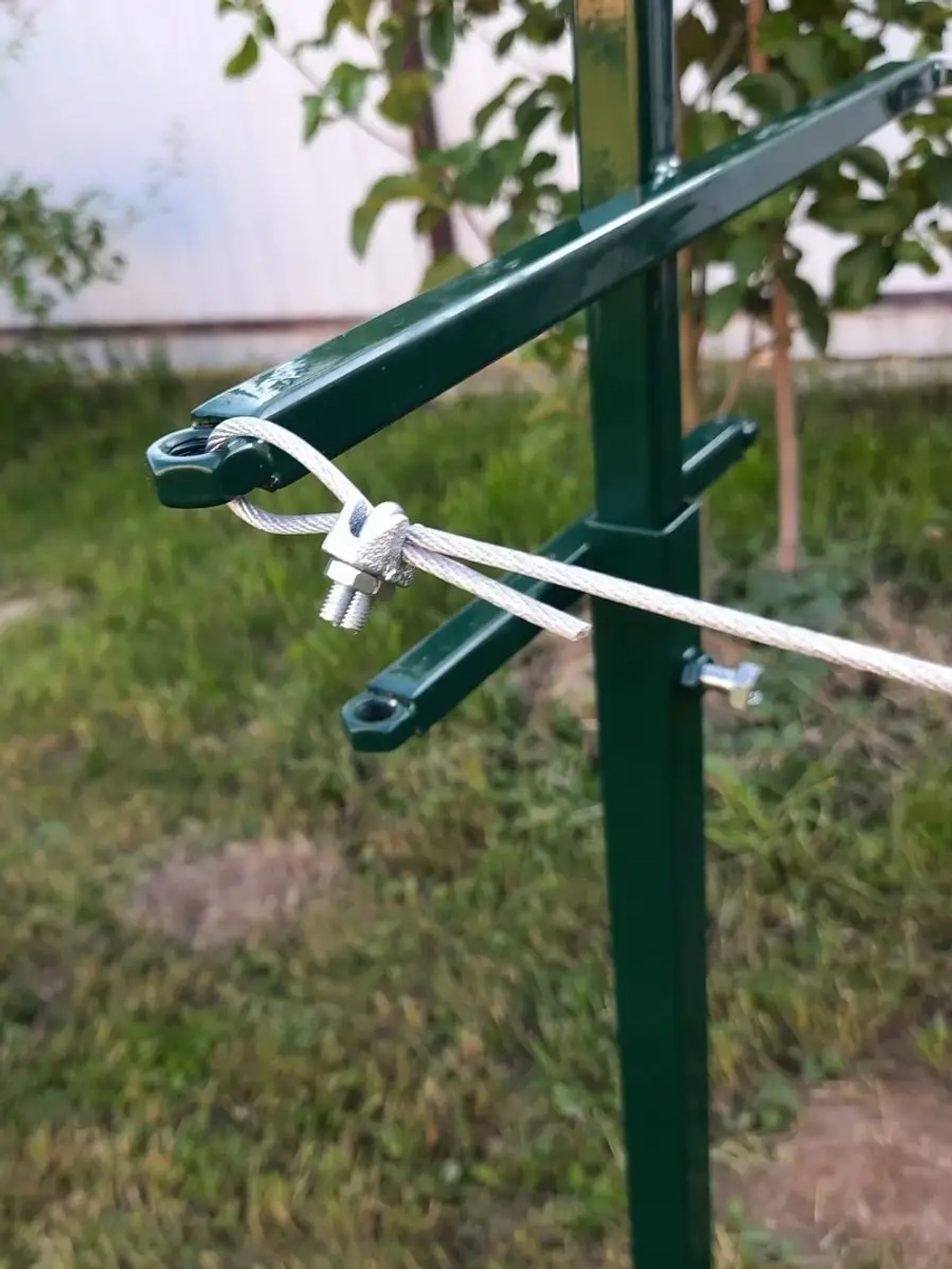 Шпалера садовая для малины и ежевики