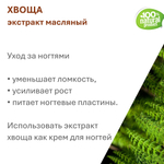 Экстракт хвоща, масляный