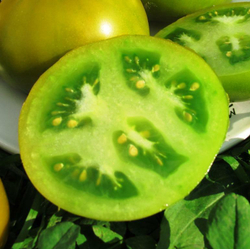 Помидоры Лайм Грин Салад - Lime Green Salad