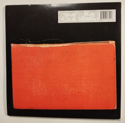 Винтажная виниловая пластинка LP Radiohead Amnesiac 10 дюймов (USA 2001)