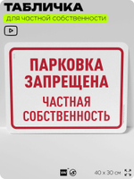 Табличка для частной территории "Проезд запрещен, частная собственность", на дом, для участка, организаций, предупреждающая, 40х30 см, Silver Plane x Айдентика Технолоджи