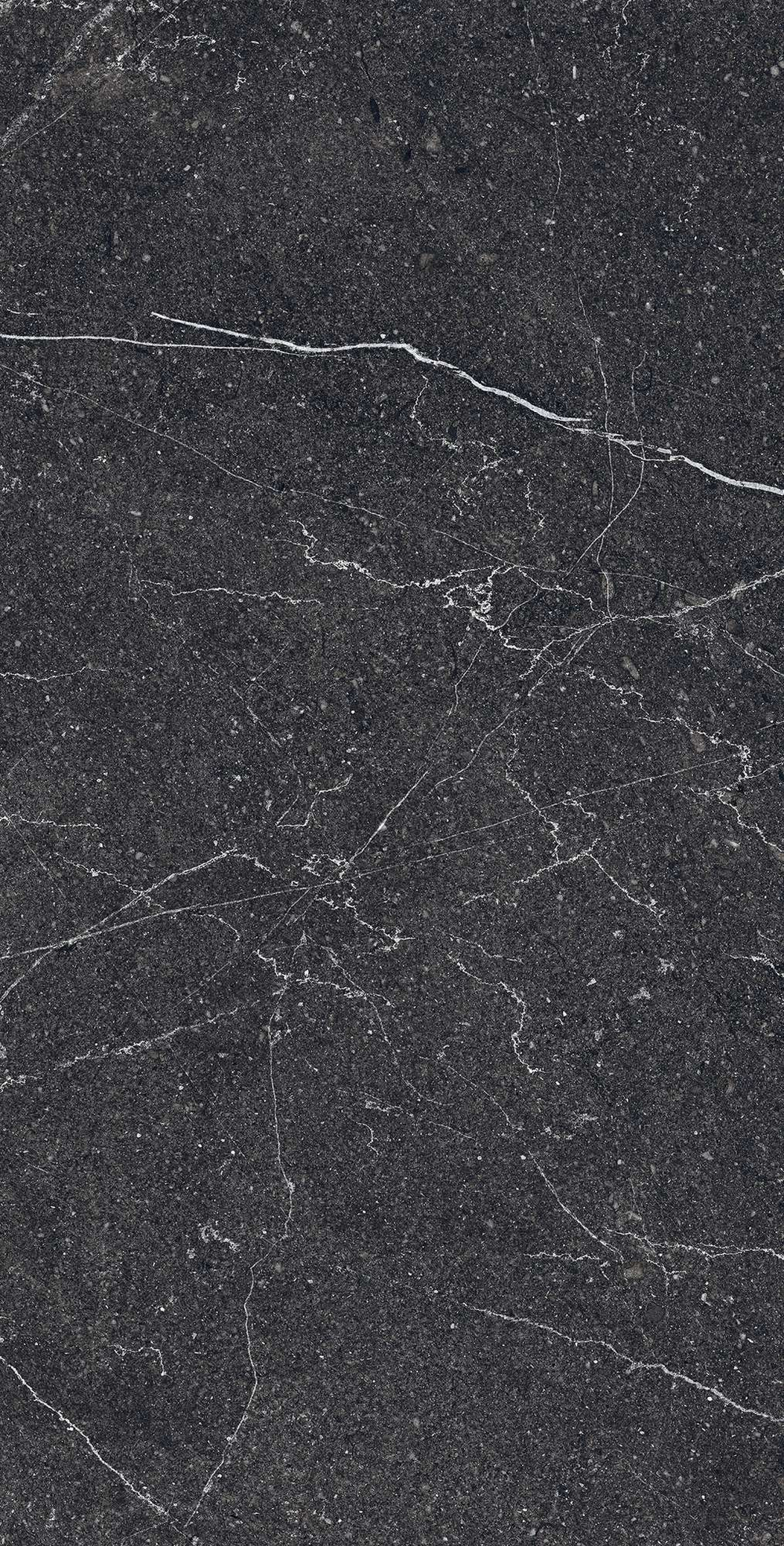 Керамогранит, Arcadia Ceramica, EQUISTONE CHARCOL, 1200x600 мм, матовая с микрогранулами