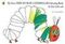 My Own Very Hungry Caterpillar Colouring Book