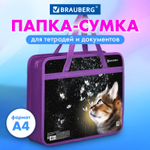 Папка на молнии с ручками BRAUBERG А4 1 отделение пластик 80 мм "Dream cat" (3 штуки в упаковке)